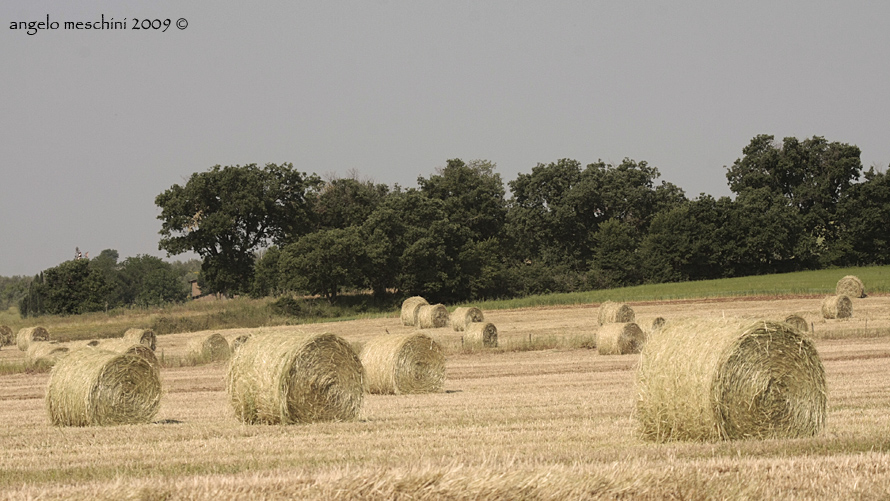 panorama di rotoballe